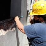 “Nosotras construimos”      