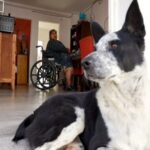 Políticas Inclusivas bonaerenses. Nadie se queda afuera: casas adaptadas que cambian la vida.