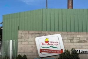 Granja Tres Arroyos despidió a unos 1.000 trabajadores en un lapso de 48 horas